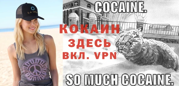 дживик Пестово