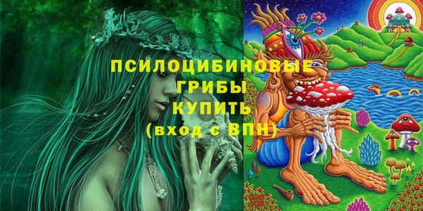 дживик Пестово