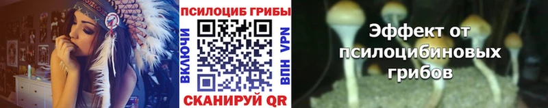 Псилоцибиновые грибы MAGIC MUSHROOMS  наркота  Агрыз 